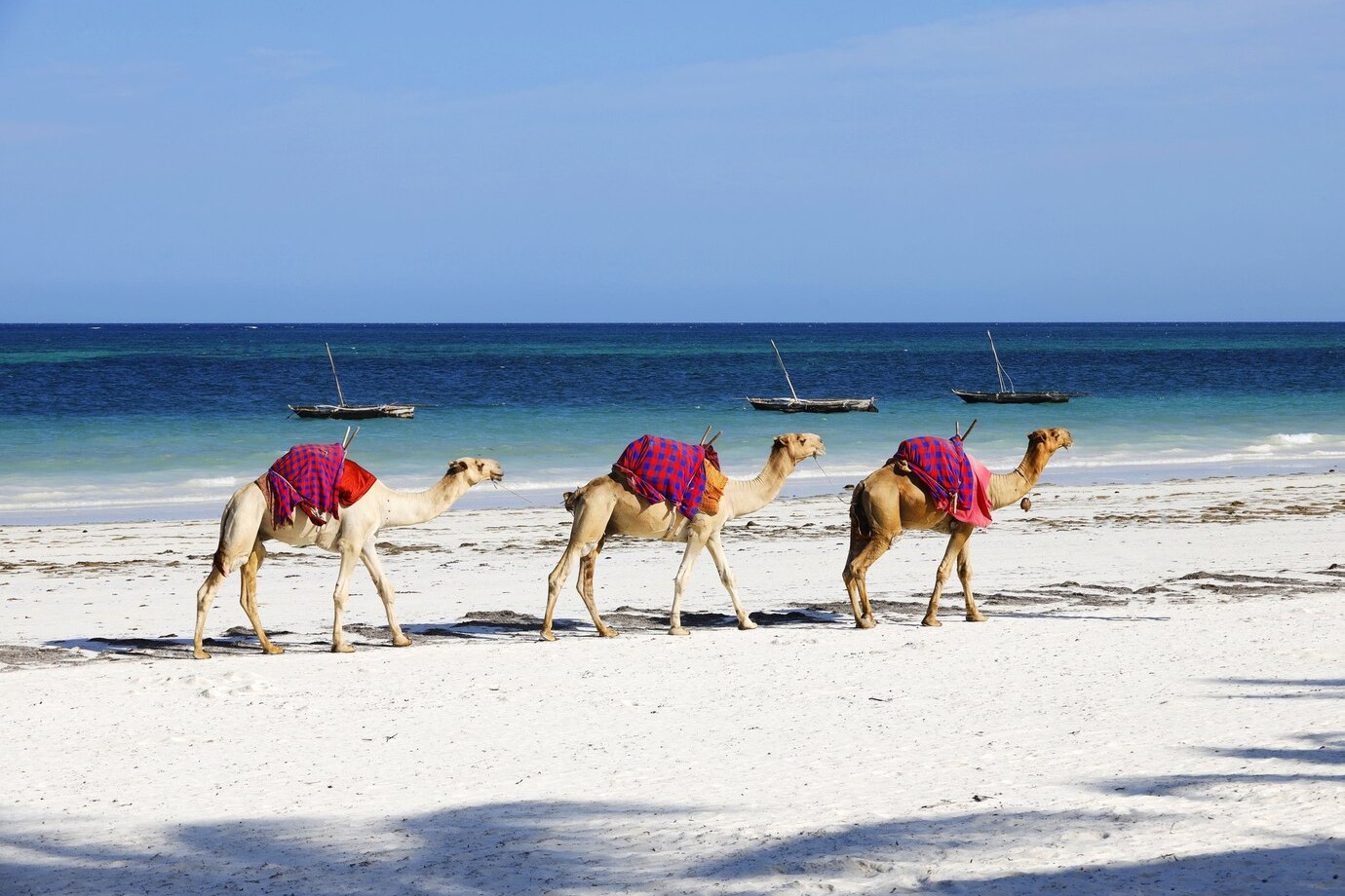Get to know the island 'near' here that has the most beautiful beaches of the Mediterranean and where walking camel is fashionable