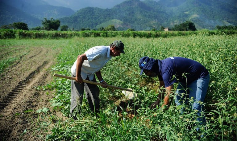 10 billion at the table: Acre rural producers only need to play right; See article