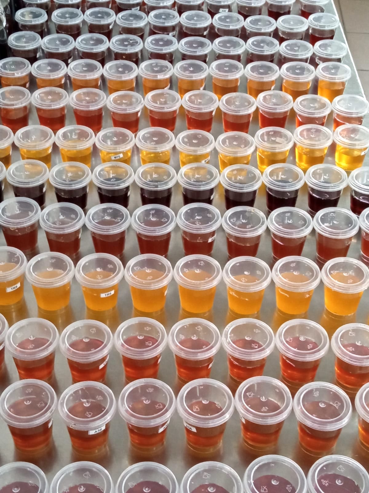 National Honey Contest again values Portuguese beekeeping