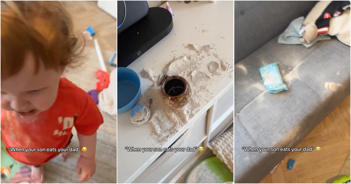 Woman is in shock when she finds her baby to eat and spread her grandfather's ashes all over the house