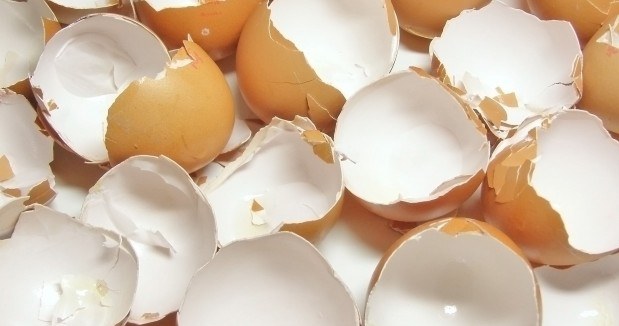 Egg shells are a good geranium fertilizer. /123RF/PICSEL/123RF/PICSEL