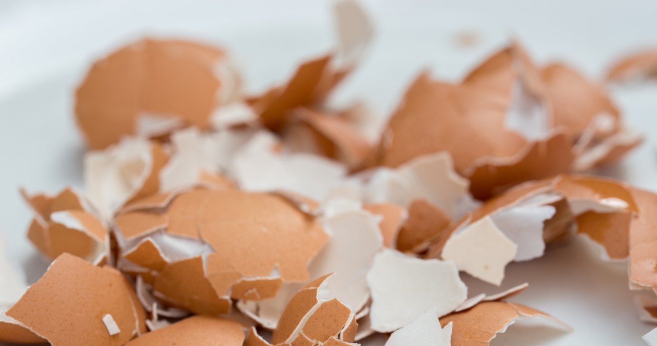 Egg shells are a good source of calcium, as well as zinc, sulfur and silicon. /123RF/PICSEL