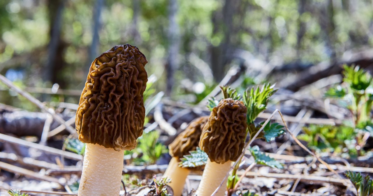 The lubricants are protected /123RF /PICSEL