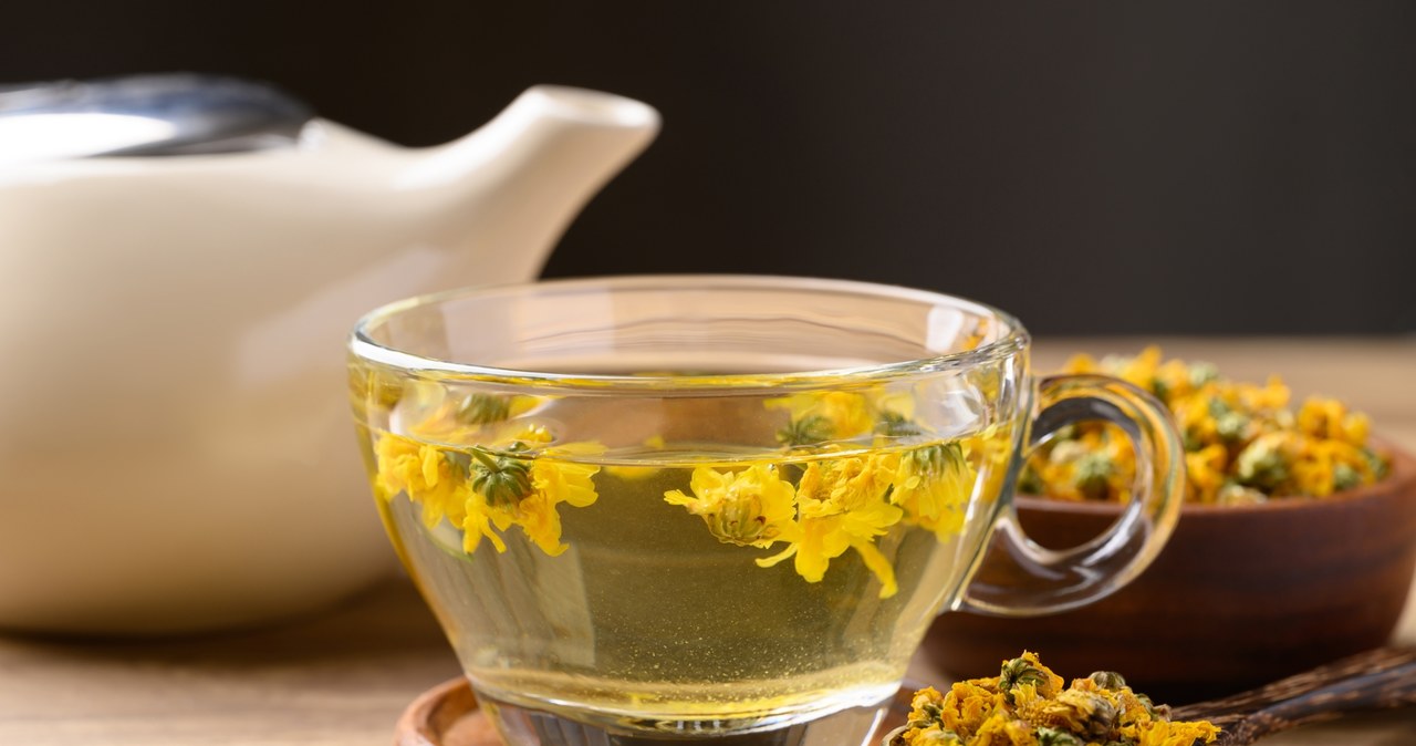 Forsitia flower infusion will affect our skin