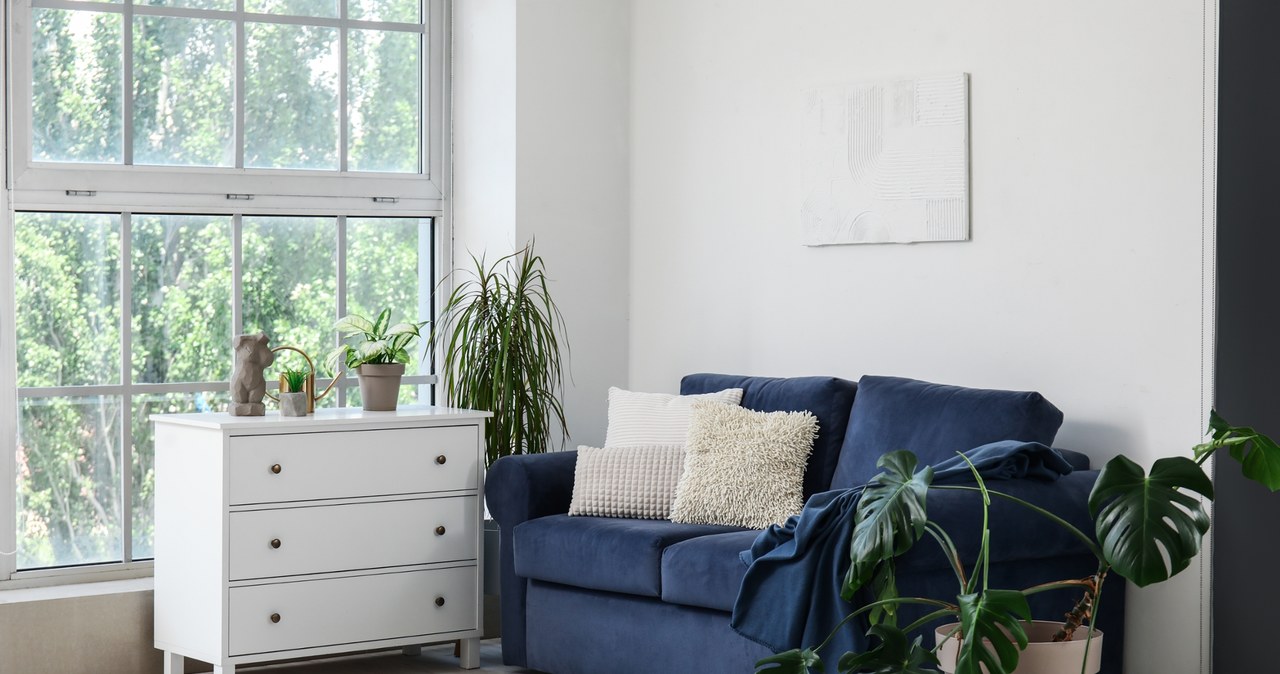 The navy blue sofa is the hit of 2025. /Pixel