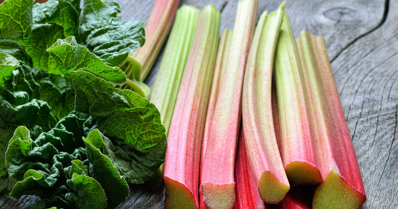 My grandmother has the tastiest rhubarb in the area. All thanks to this