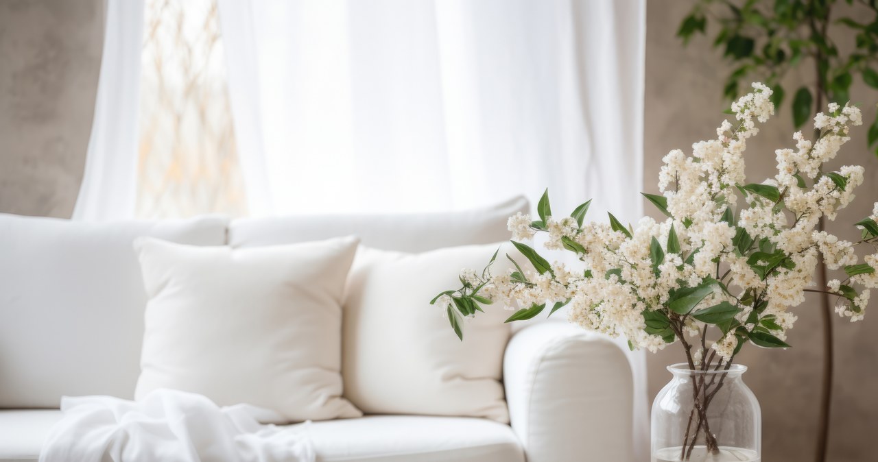 Do not buy a sofa in this color. It seems fashionable, but it has more disadvantages than advantages