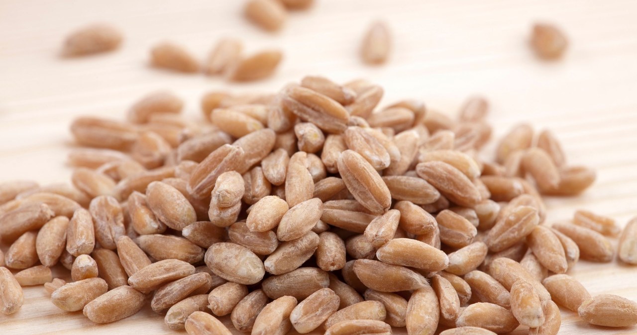 The ancient grain returns to favor. He has a lot of vitamins and a natural probiotic that occurs in mother's milk