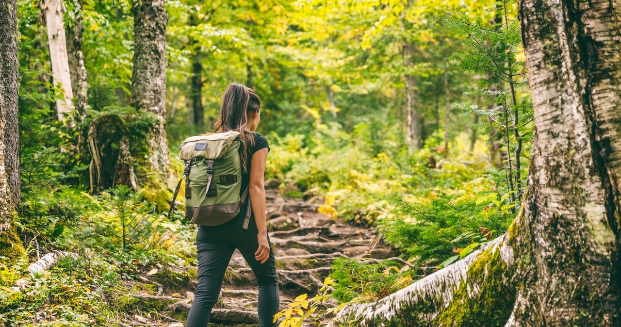 Don't dress in the forest. These colors attract ticks