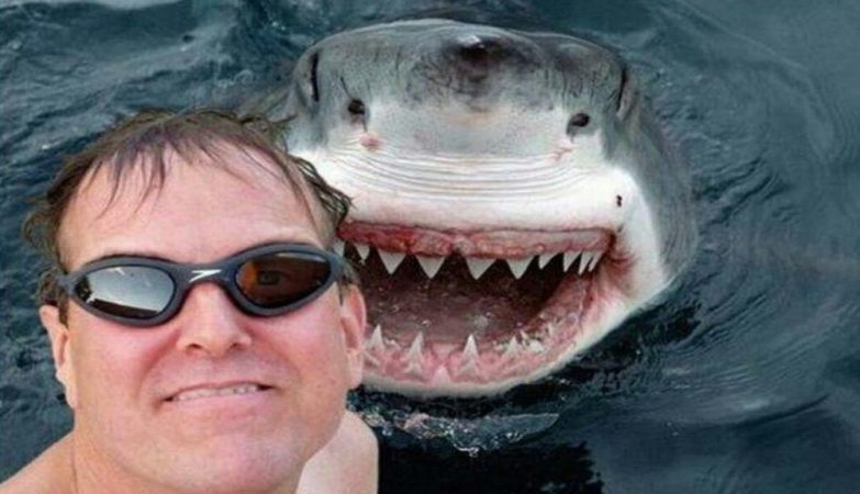 Human shark attacks are increasing. It is the fault of selfies