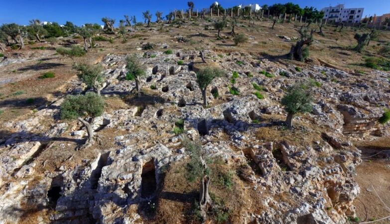 The Phoenicians did not spread as we thought