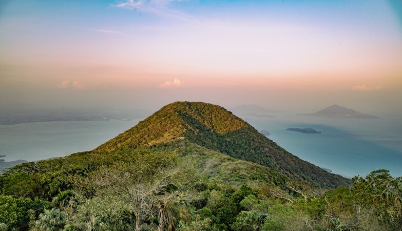 Trees give us signs that a volcano is about to erup