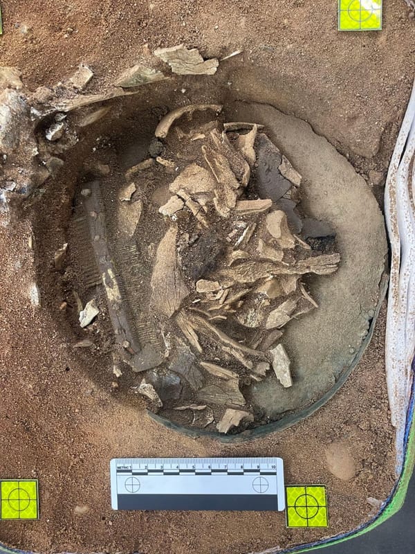 "Notable": Scientists are impressed with what they found within this bucket