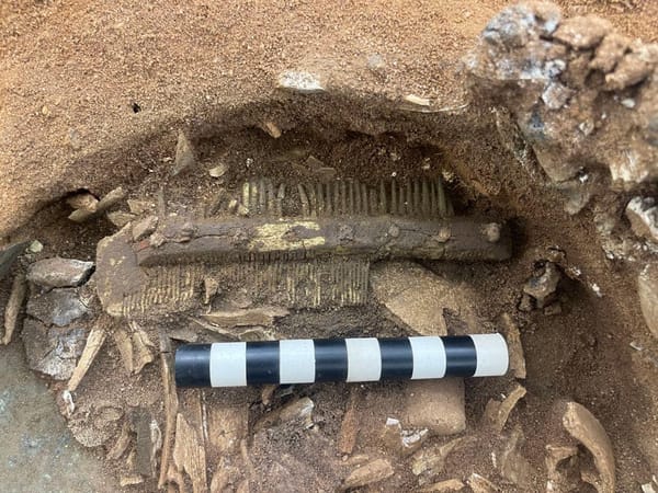 "Notable": Scientists are impressed with what they found within this bucket