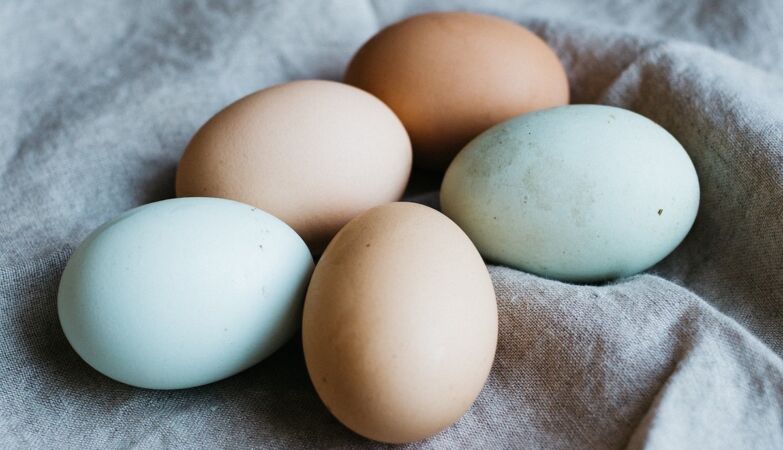 Blue egg is not synonymous with spoiled egg. It is a matter of race. Or genetics. Or retrovirus