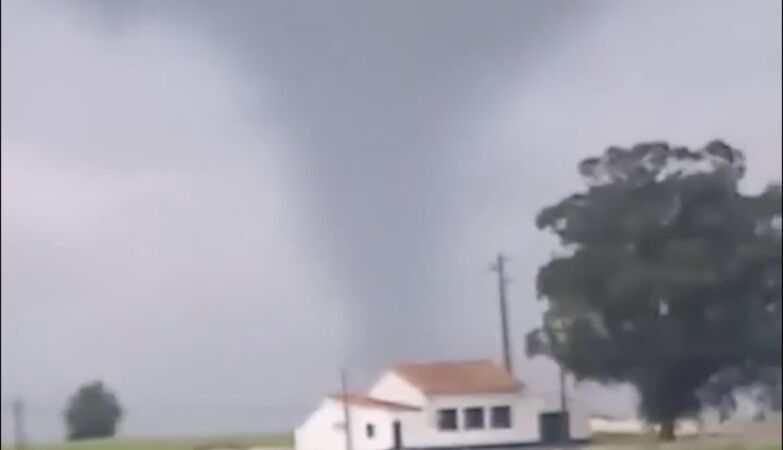 Tornado in Beja pulls trees and roofs