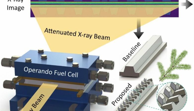 The cheaper energy key adds fuel cells, plants and desert lizards