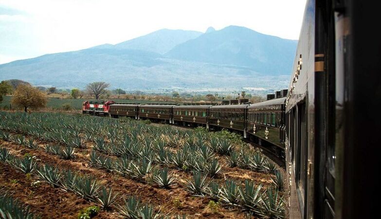 The “Tourism of Tequila” is back in Mexico (in the form of a train)