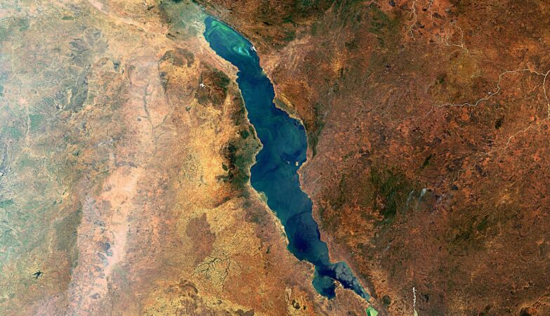 A huge feather under Africa is from the continent in two