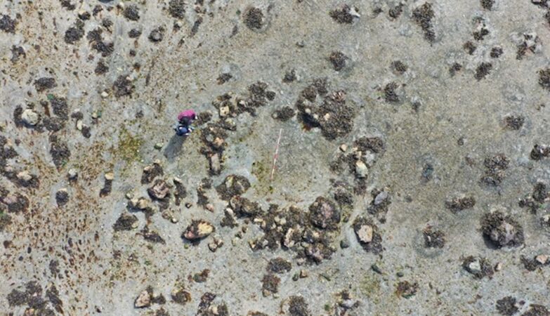 Circles of mysterious stones reveal dangerous migration to northern Scotland 11 thousand years ago