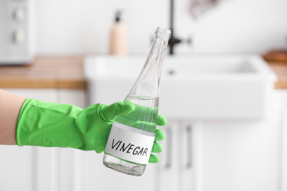 Vinegar to clean the house