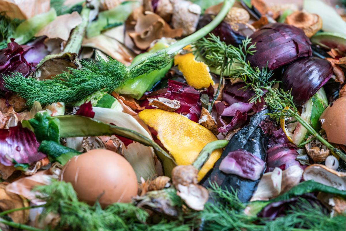 Natural fertilizers: peels, shells and more