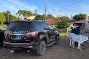 PF car during operation against land frauds in Pará