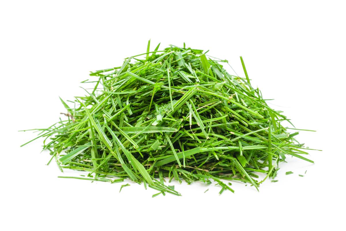 Cut grass that becomes fertilizer