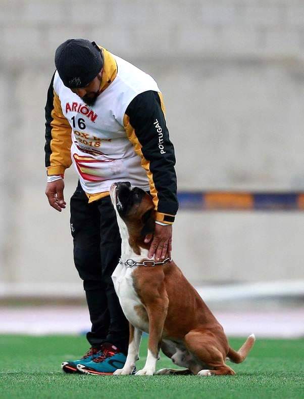 Iron Dog Algarve promotes free masterclass on canine training and well-being