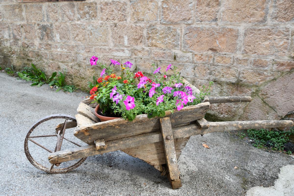 Creative ideas for dream flower beds