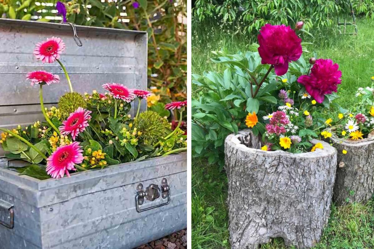 8 ideas to have an original garden