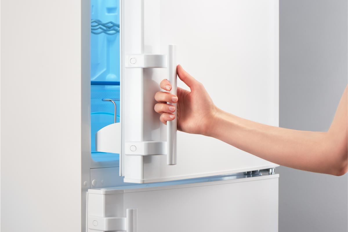 Natural cleaning of the fridge garnish