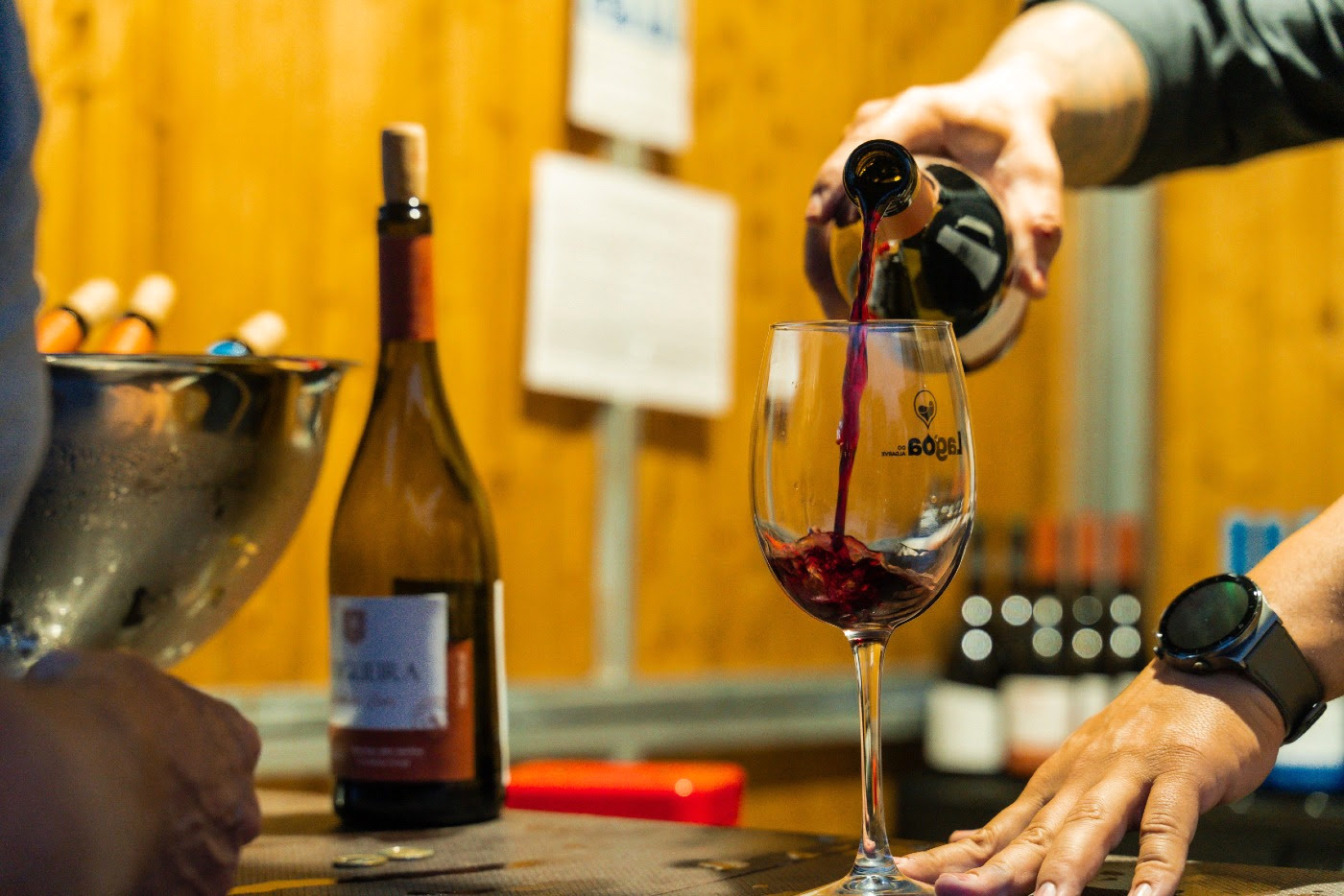 WINE SHOW LAGOA: FOUR DAYS OF FLAVES, KNOWLEDGE AND GIVEN TRADITION