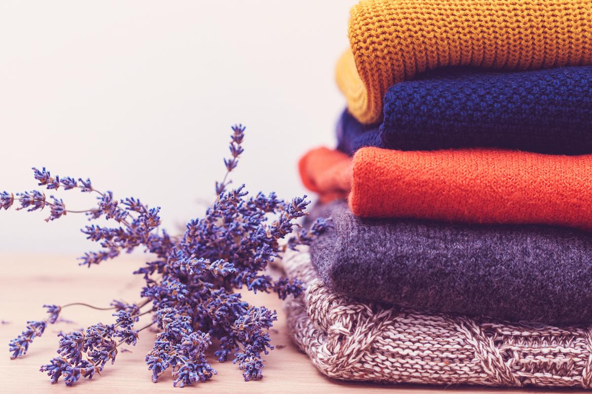 Freshness in the Amadio with lavender
