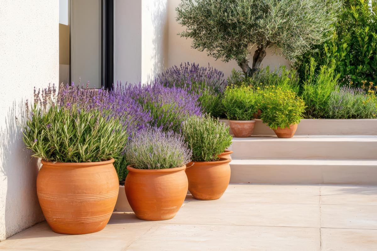 Combinations of plants and flowers