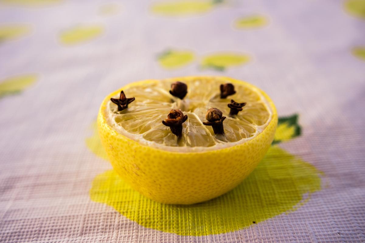 Natural remedies against flies