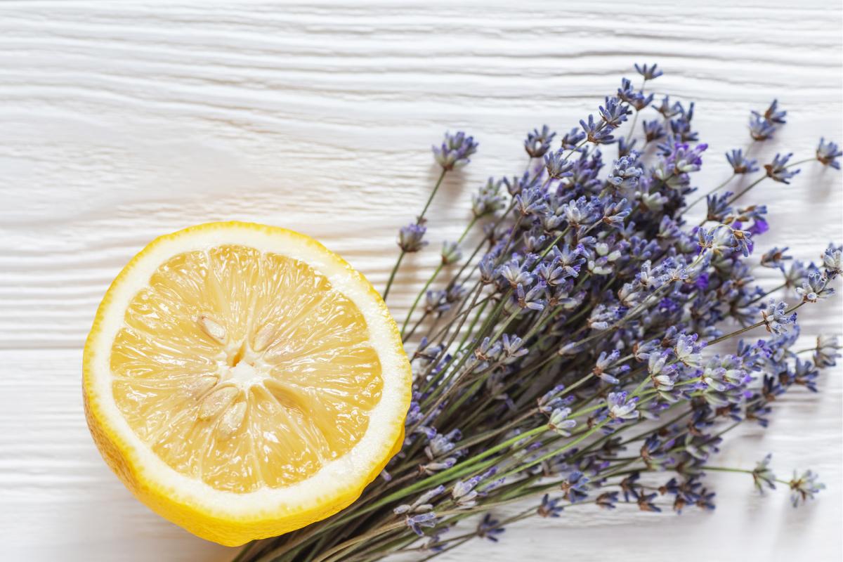 Lemon and lavender to perfume the house