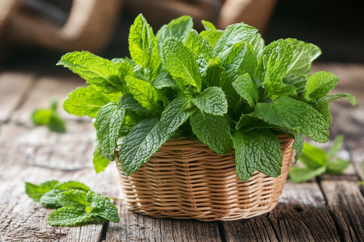 DIY centerpieces that smell