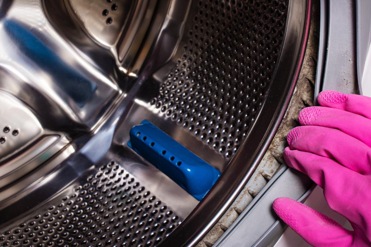 How to eliminate mold from the washing machine garnish