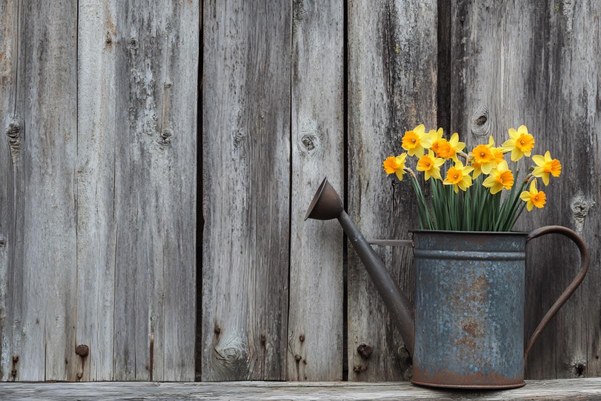 The Narcisi protagonists in recycled vessels