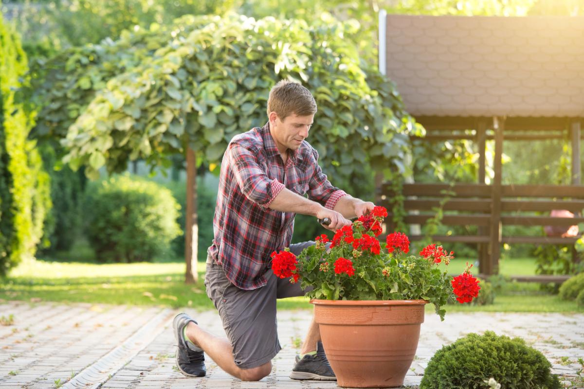 Plants that must be cut in May