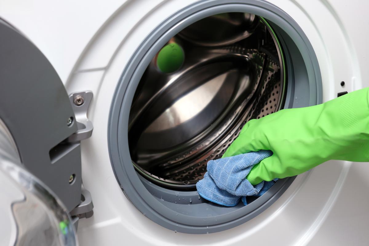 Cleaning of the washing machine garnish