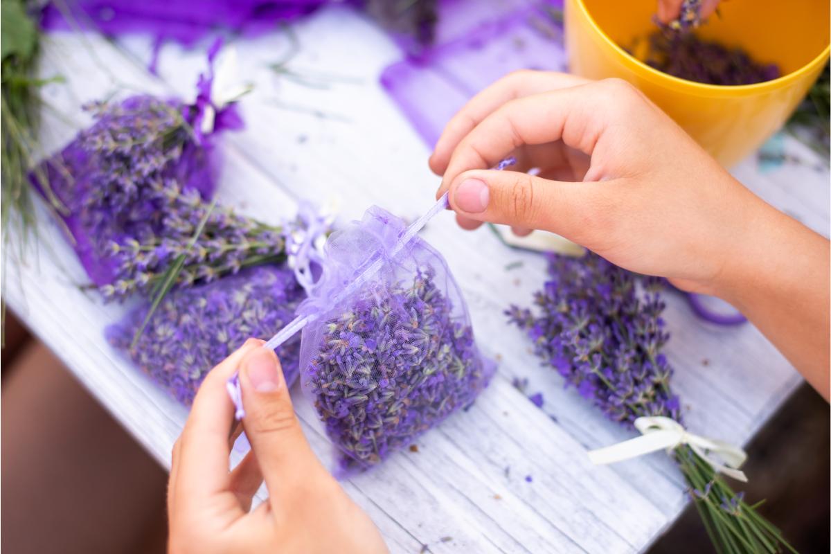 Perfume the drawers and the sheets with lavender