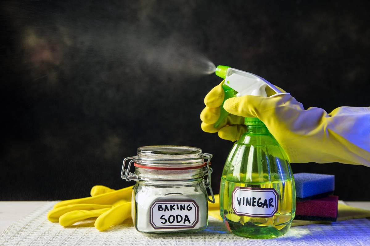 Natural spray for all surfaces