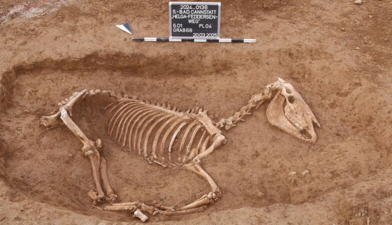 Horsepower cemetery of the Roman Empire had a particularly dear