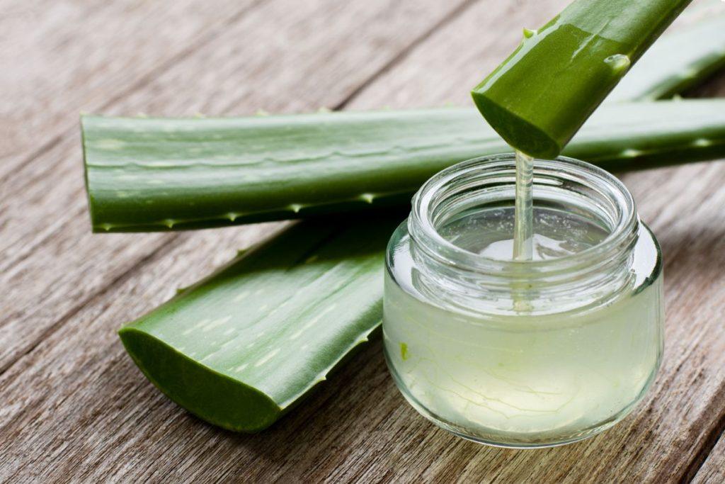 aloe vera for beauty