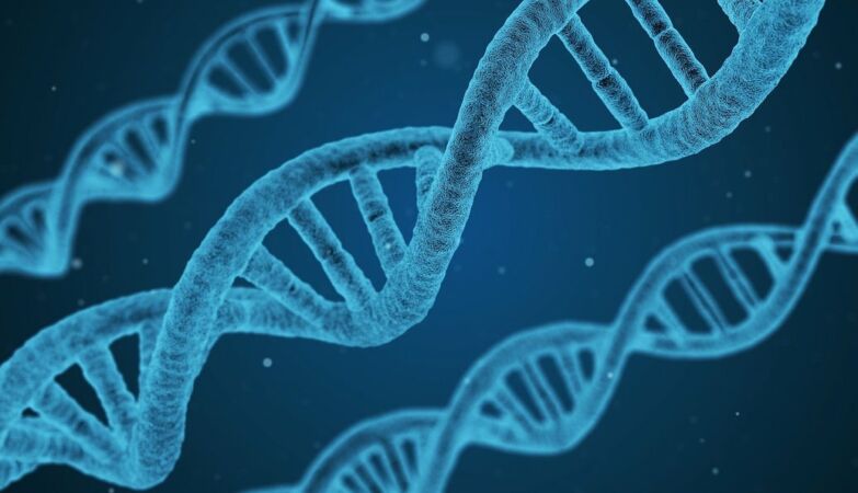 Our DNA can be pirated. The threat is “scary”
