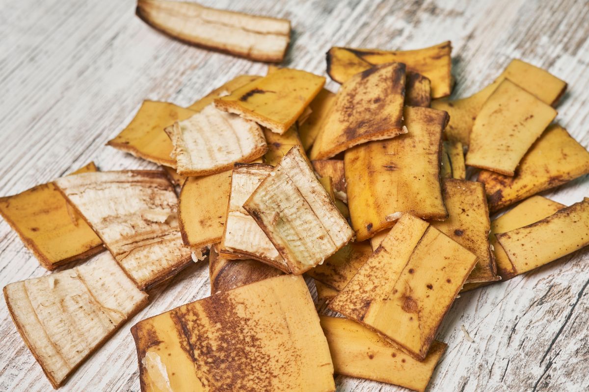 fertilizer with banana peels