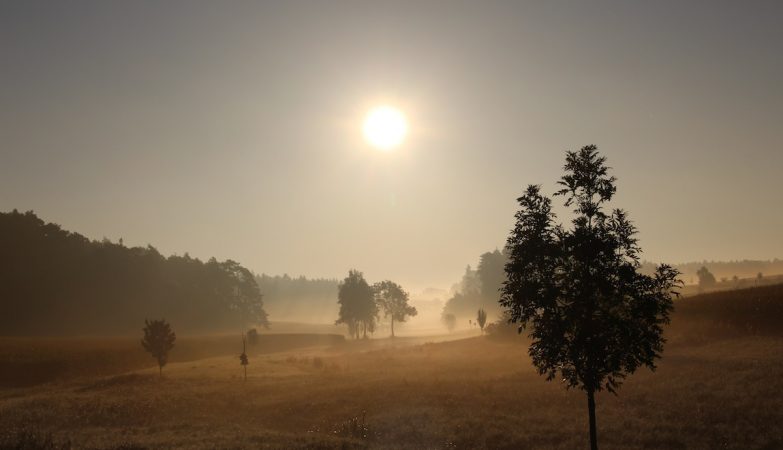 After the heat, the dust of Africa arrive