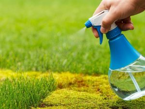 Melt in the water and quickly spray the moss in the grass and remove it once and for all. The natural ingredient will make the lawn like on the pitch. Homemade way for moss in the grass